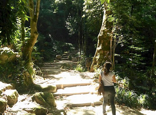 O Percurso Pedestre da Vila Sassetti Espera Por Si!