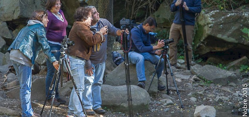 GT Fotográfico a crescer!