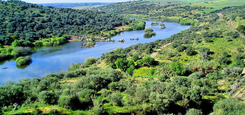 Grande Rota do Guadiana