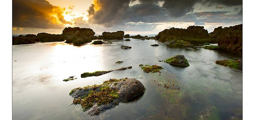 GT Fotográfico