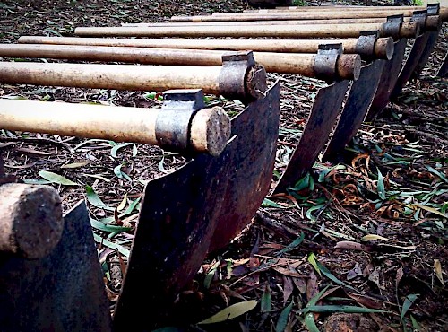 GT deixa pegada ecológica