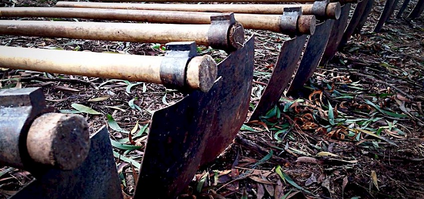 GT deixa pegada ecológica