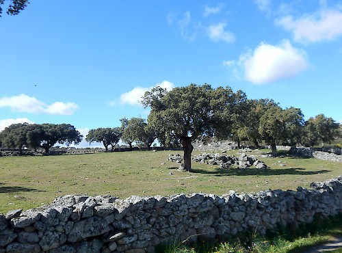 Alentejo a pé