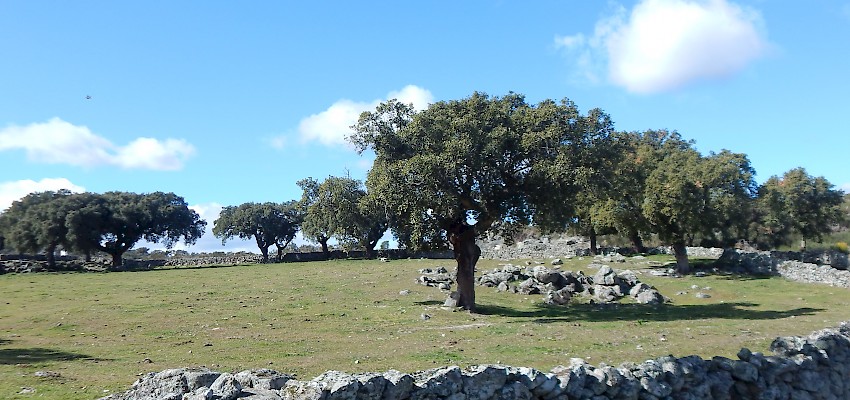 Alentejo a pé