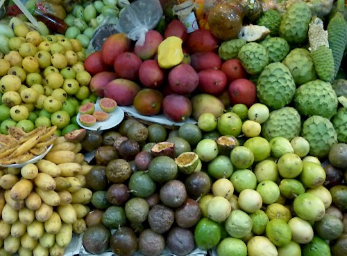 GT no Mercado dos Lavradores