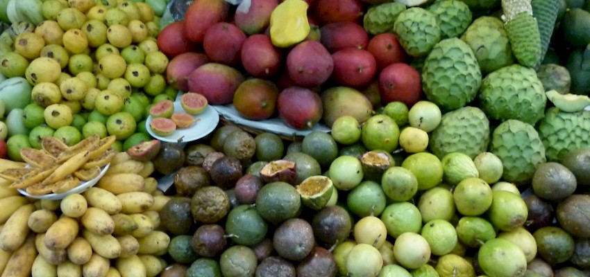 GT no Mercado dos Lavradores