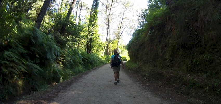 Chiruca para o Caminho