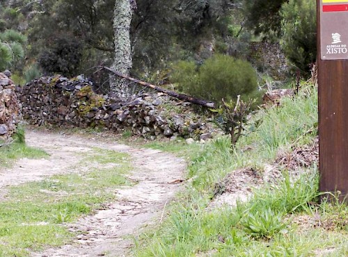 Pampilhosa da Serra com novo trilho