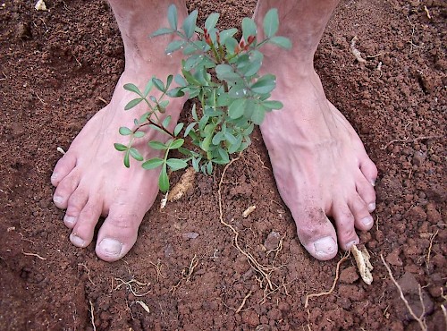 GT com novo parceiro