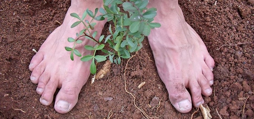 GT com novo parceiro