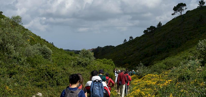 Trekkings longos para a rentrée