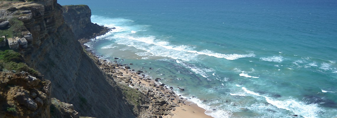 Plantas e flores comestíveis no Magoito