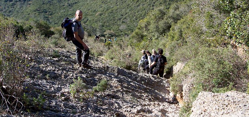 Hard Trekking powered by Green Trekker