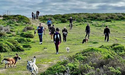 Dog Trekking na Barragem do Rio da Mula