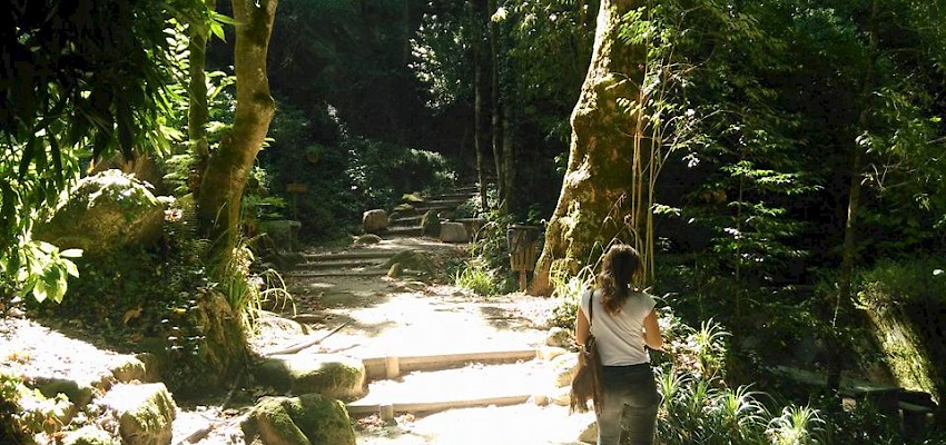 Percurso pedestre da Vila Sassetti