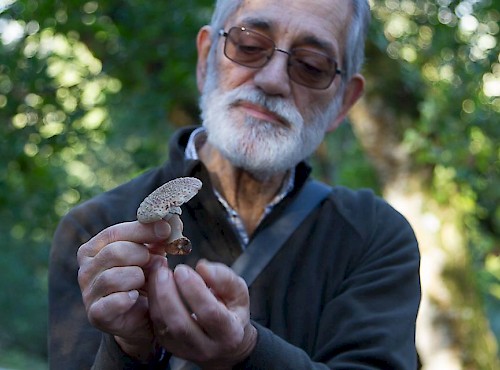 Passeios micológicos