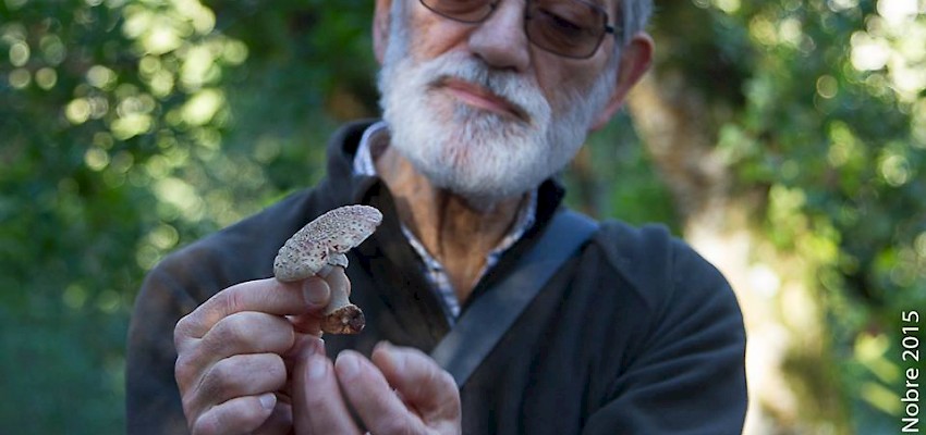 Passeios micológicos