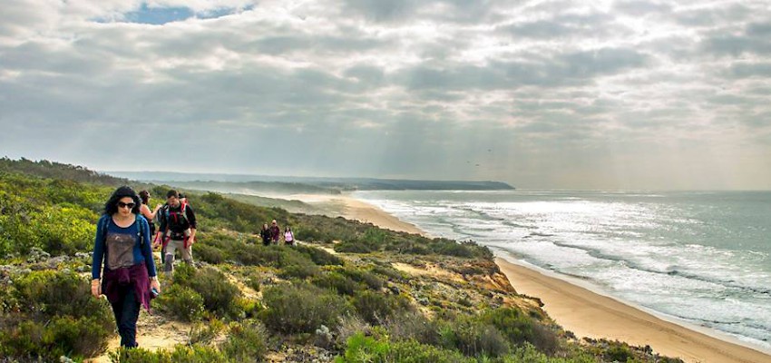 Ofereça uma caminhada neste Natal…