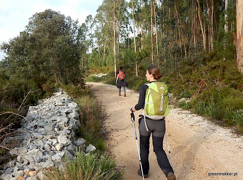 Classificação dos percursos da Green Trekker