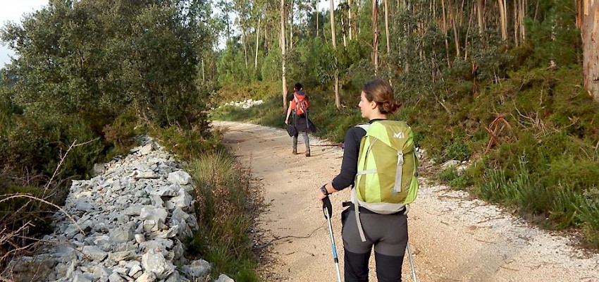 Classificação dos percursos da Green Trekker