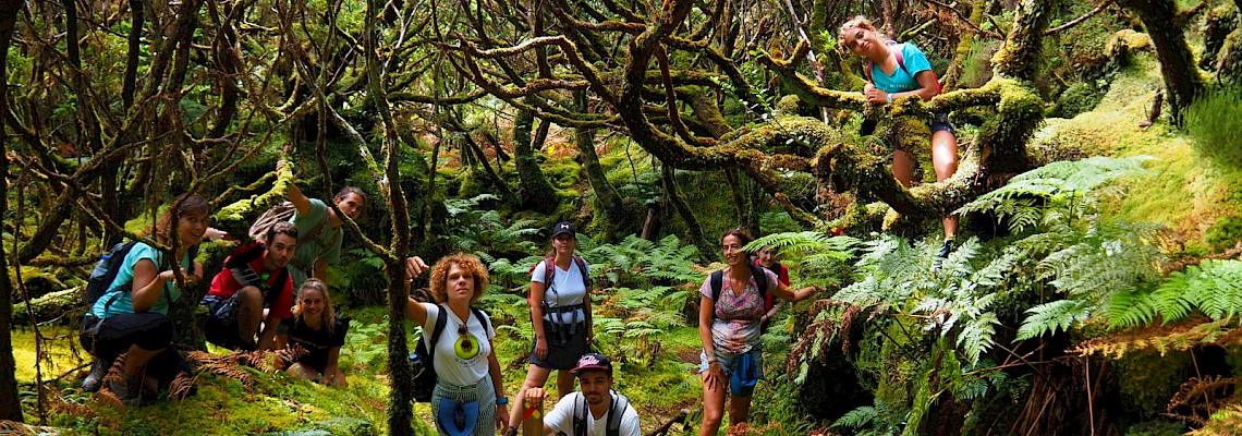Terceira: à descoberta da Ilha Lilás