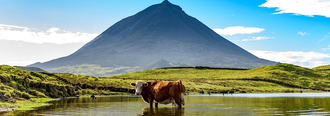 As ilhas do Triângulo: Pico, São Jorge e Faial