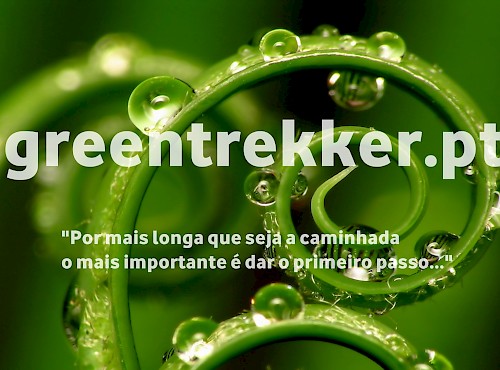 Novo site da Green Trekker já está no ar!
