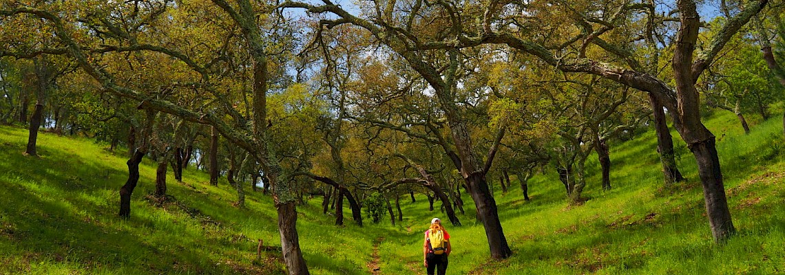 Serra de Grandola: o lado desconhecido do Alentejo