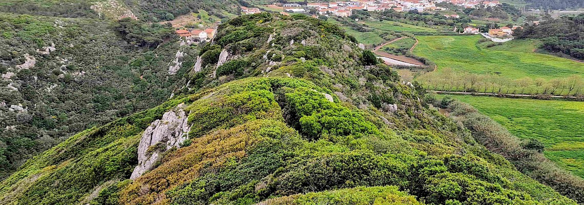 Praias do Oeste e escarpas da Maceira