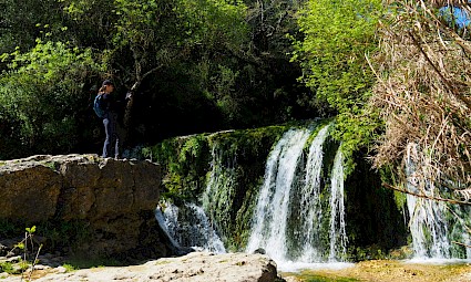Pelos Trilhos do Arinto - Bucelas