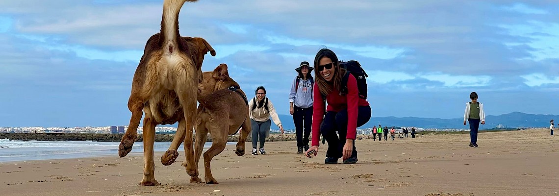 Dog Trekking na Praia da Samarra - Sintra
