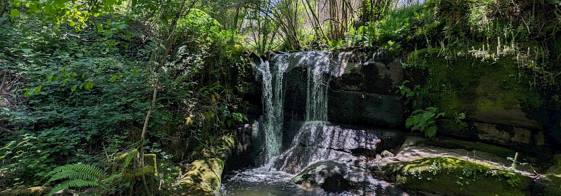 Trilhos da Serra da Aboboreira - Amarante