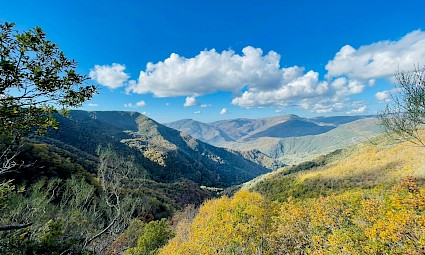 Cordilheira Cantábrica - Bosques ancestrais do Courel a Terra do Urso Pardo