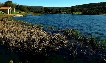 Lagoas do Arrimal á Serra da Lua