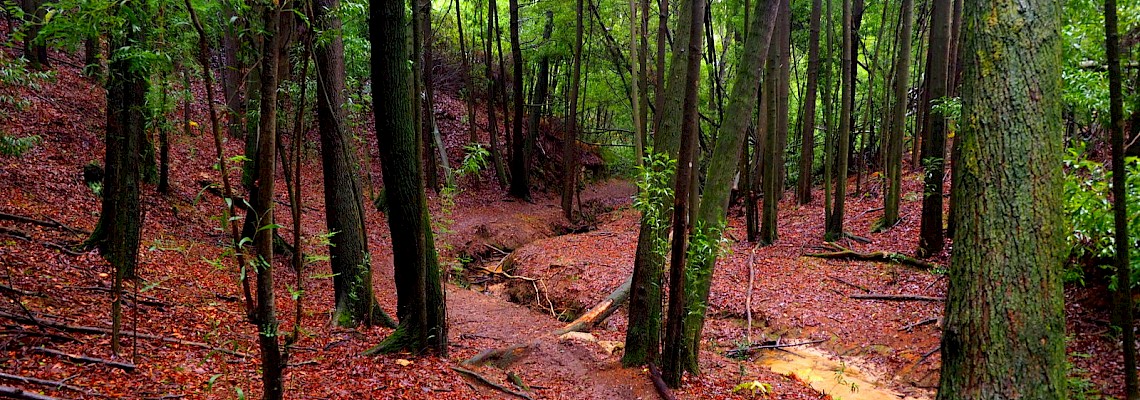 Trilho das Pontes - Serra de Sintra