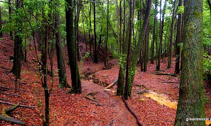 Trilho das Pontes - Serra de Sintra