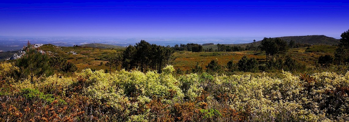 Do Monte da Farinha ao Cabeço da Raposa/Serra de Montejunto