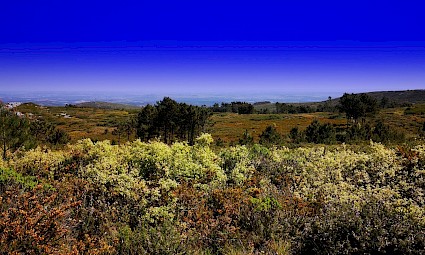 Do Monte da Farinha ao Cabeço da Raposa/Serra de Montejunto