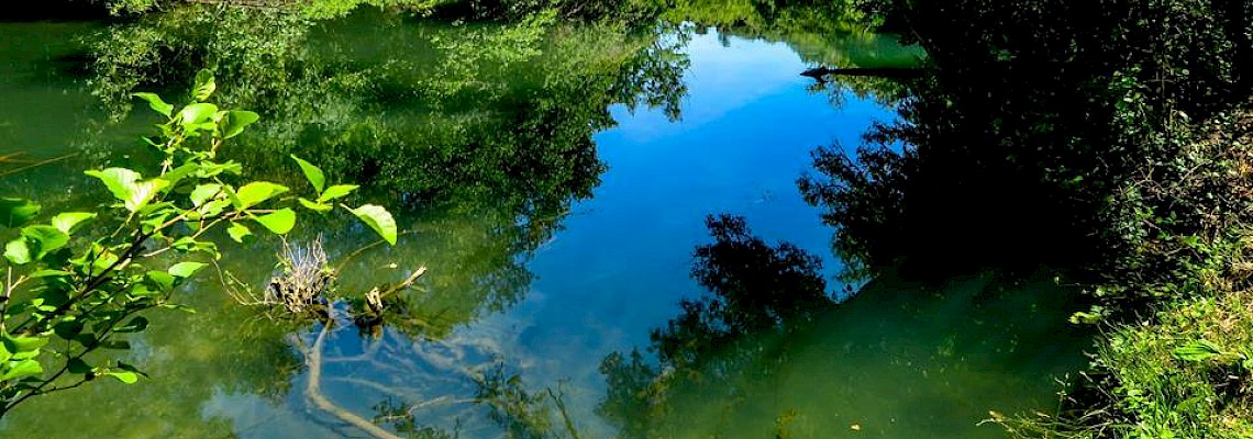 Pelos Trilhos do Nabão - Tomar