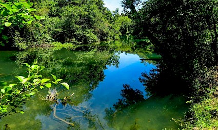 Pelos Trilhos do Nabão - Tomar