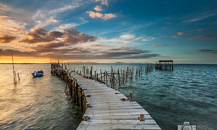 Comporta: a peróla do Sado