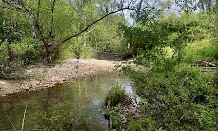 Ribeira do Alcolobre: caminhada de reconexão com a natureza