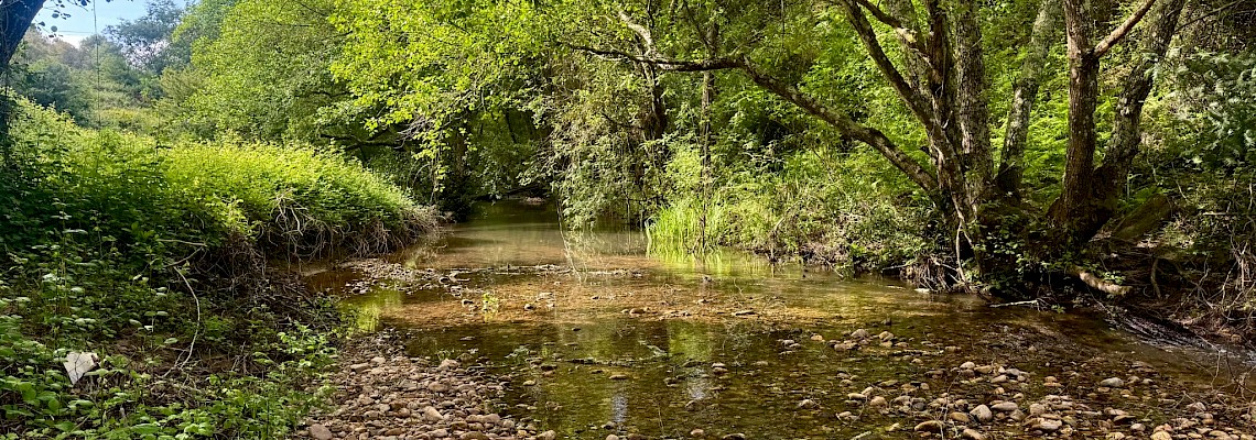 Ribeira do Alcolobre: caminhada de reconexão com a natureza