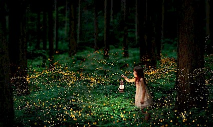 Pirilampos na Praia Fluvial dos Olhos D`Água do Alviela - 2ª Edição