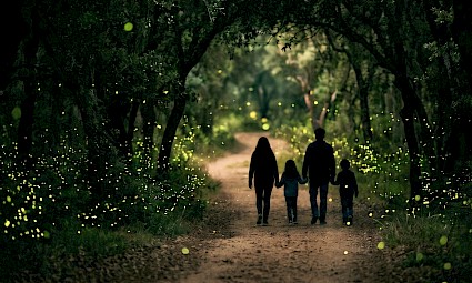 Caminhar com pirilampos nas nascentes do rio Lis - Leiria - 1ª edição