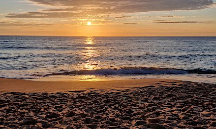 Mata do Cerejal - reduto de tranquilidade/Batalha