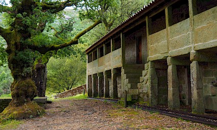 Serra de Arga: caminhadas e noites no Mosteiro de São João de Arga