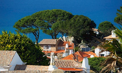 Quintas de Colares ( Sintra )