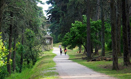 Rota da Água/Parque Florestal de Monsanto