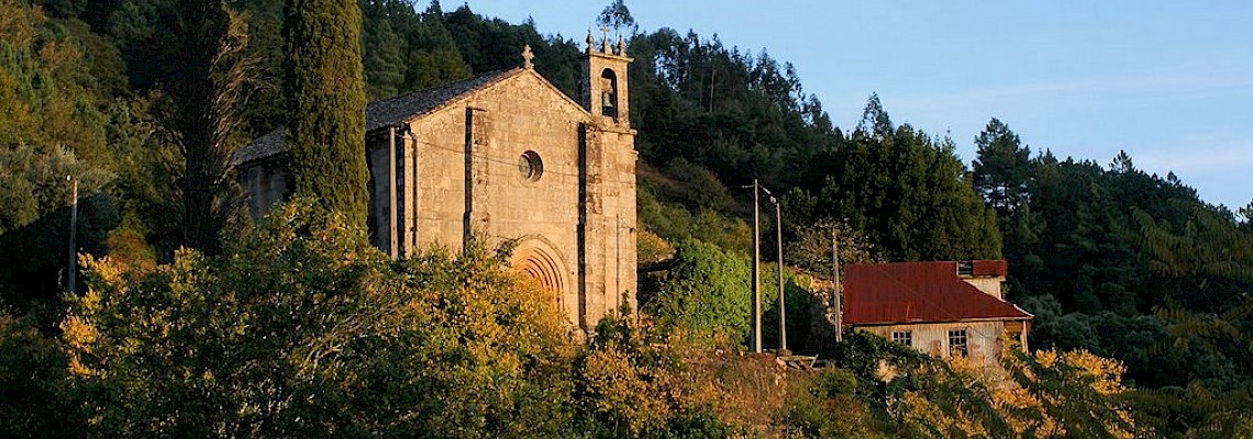 Mato do Bugalhão - Serra de Montemuro